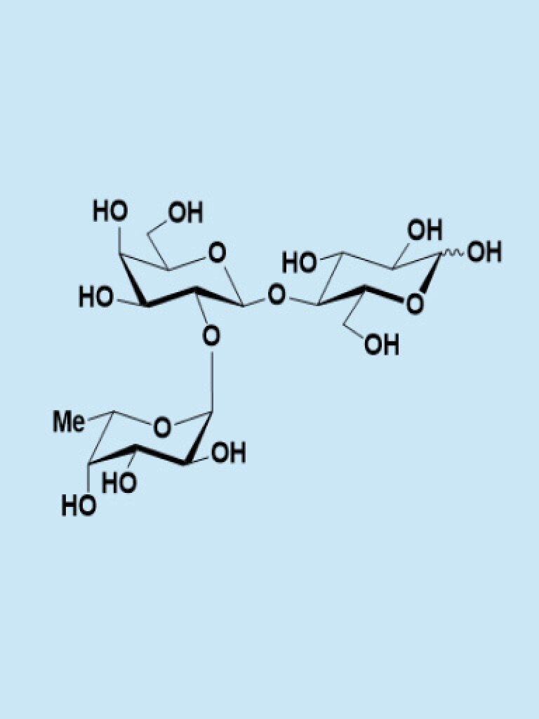 Image 2FL