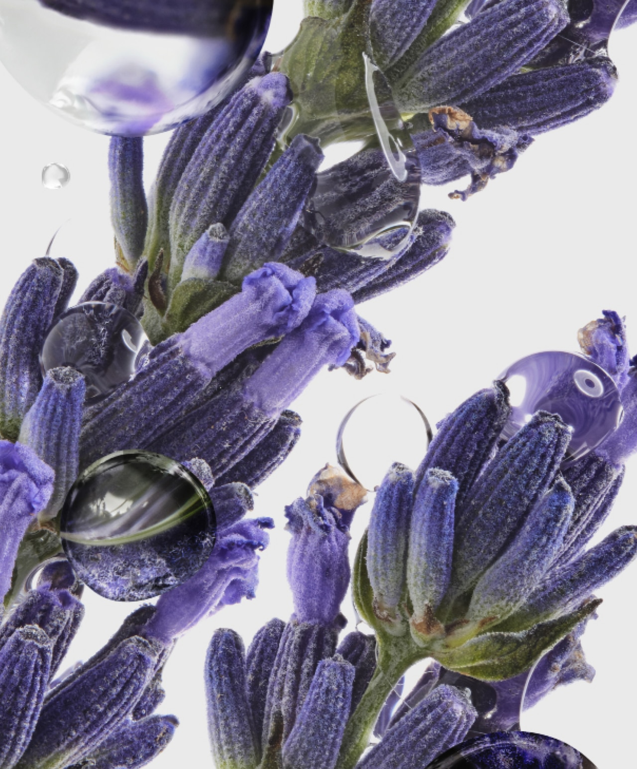 Première image
