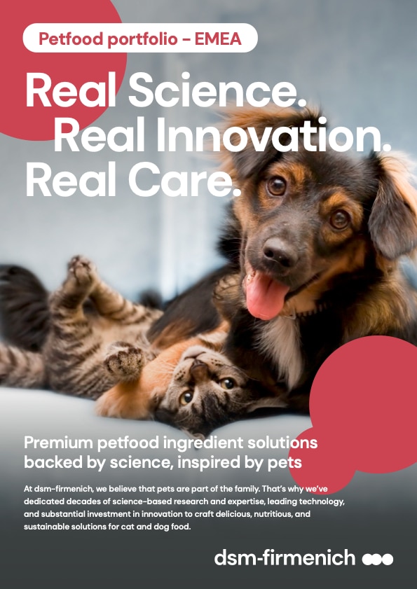 chien étreignant chat