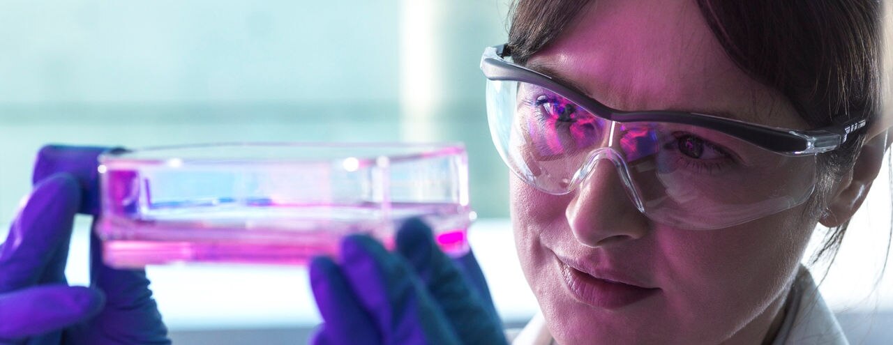 Scientist with protective glasses examining cells in glassware at medical lab