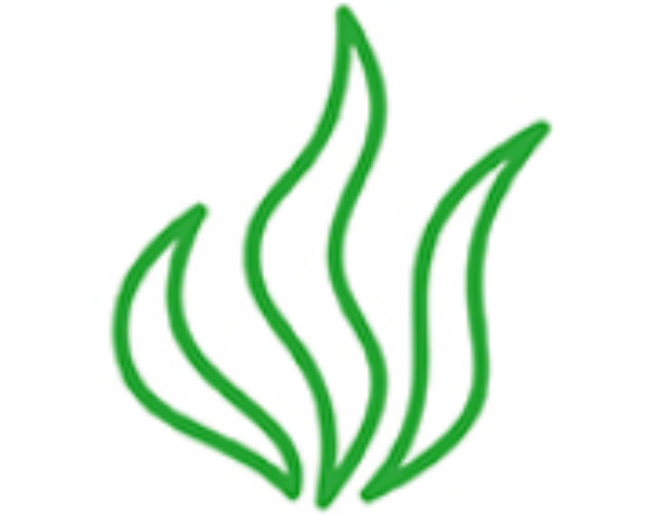 icon-plant-based.png