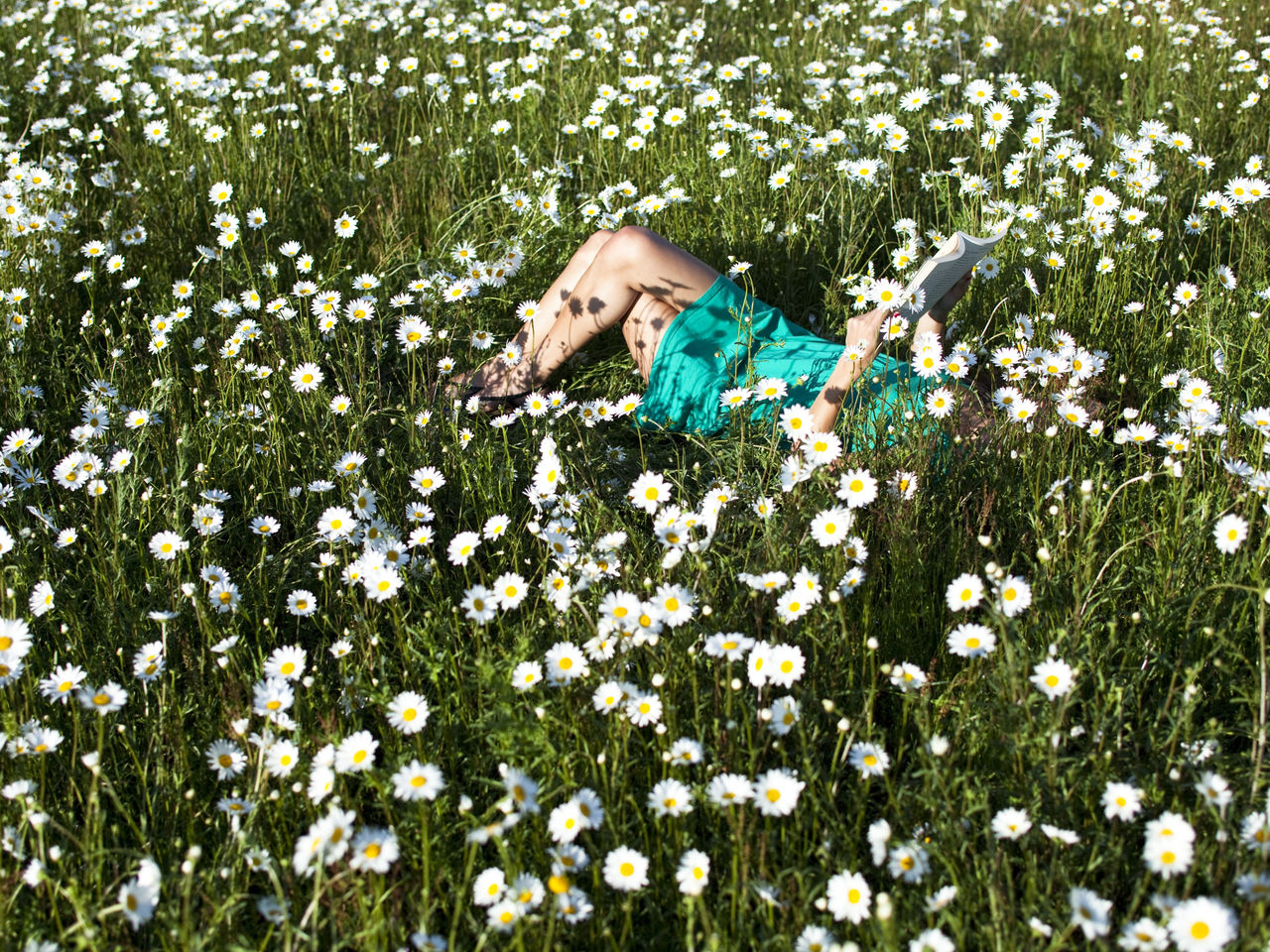 GIRL reading the book