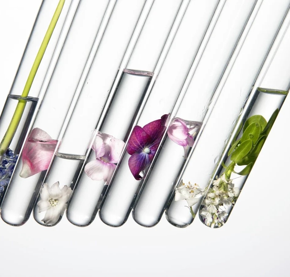 Curated with purpose and vision