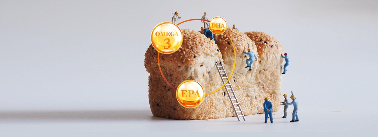 banner-meg-3.jpg