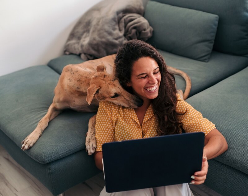 Cheerful brunette woman at home, working with her laptop next to her greyhound dog, who is licking her.