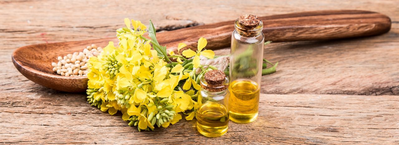 banner-ingredients-processing-purifine.jpg