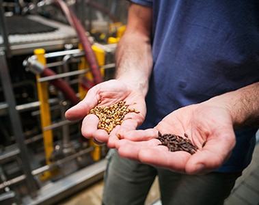 Beer: Holding Two Different Roasted Grains