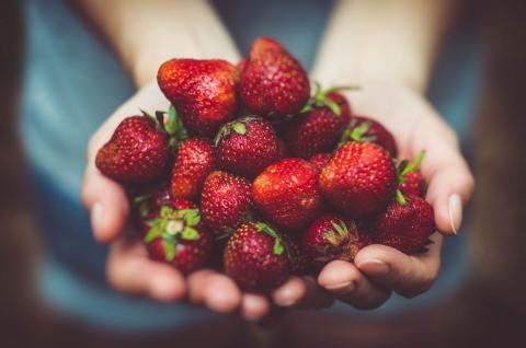 FIRMENICH EXPANDS PRESENCE IN UNITED STATES WEST COAST TO OFFER TAILORED TASTE & NUTRITION SOLUTIONS