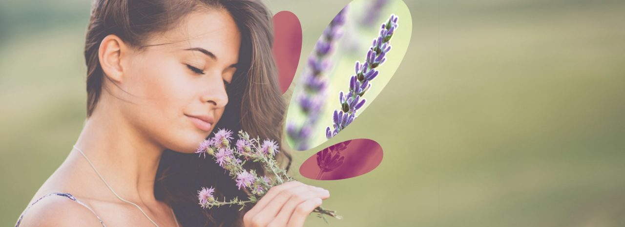 banner-linalool.jpg