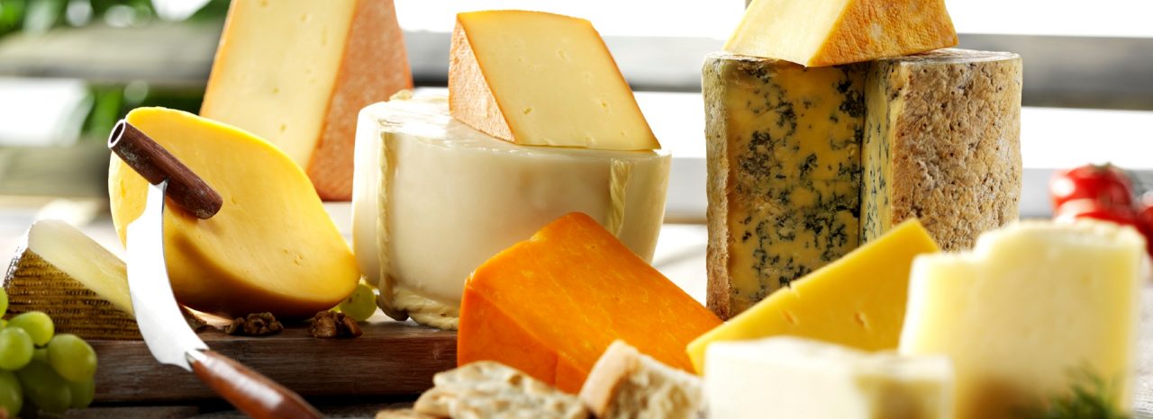 banner-brands-dairy-accelerzyme.jpg