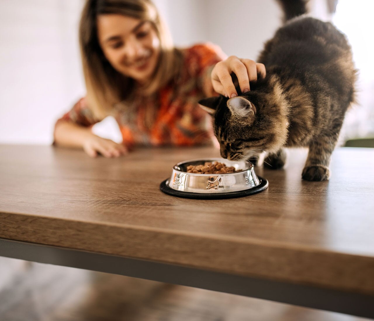 Beautiful young woman bonding with her cat while cat is eating from bowl