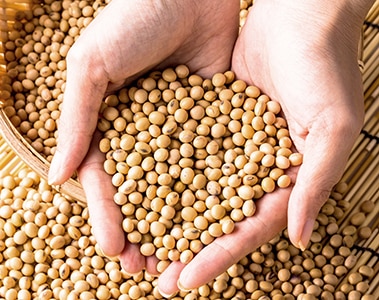 Insights Getting more using less - Bring new technology into a plant
