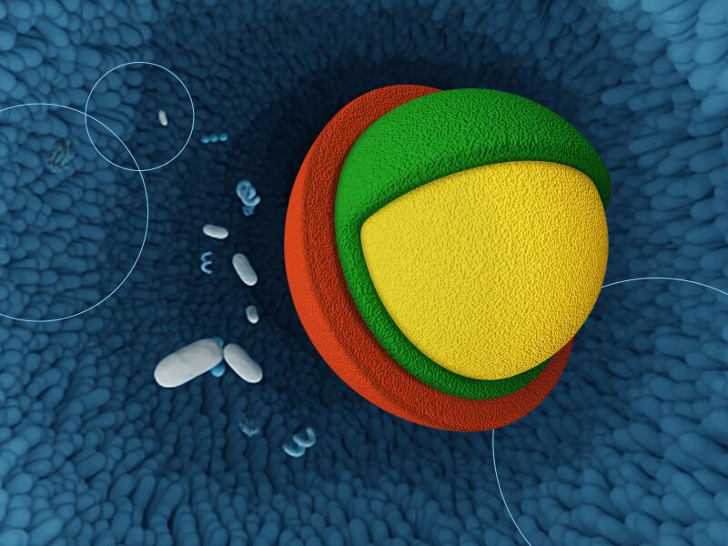 Humiome afbeelding