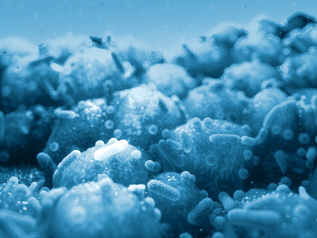 close up of 3d microscopic blue bacteria