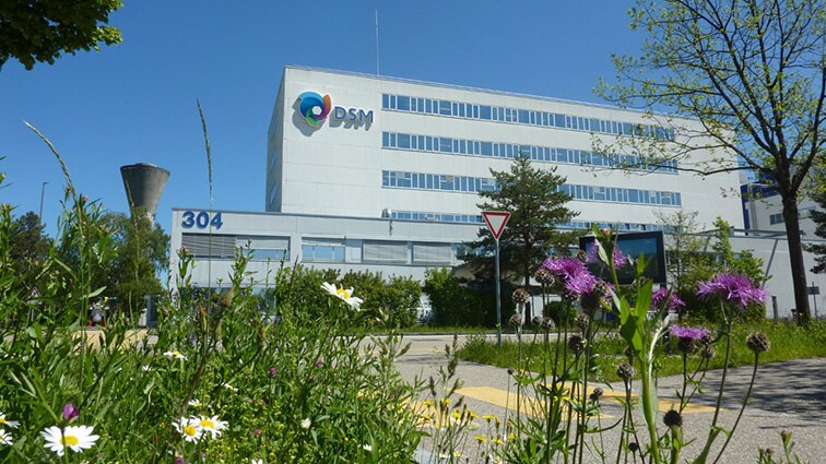 DSM Sisseln