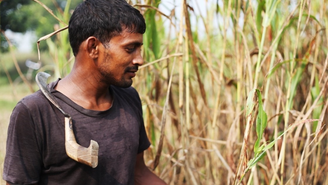 SEEN-campagne - De mythe van ondervoeding en verborgen honger ontmaskeren