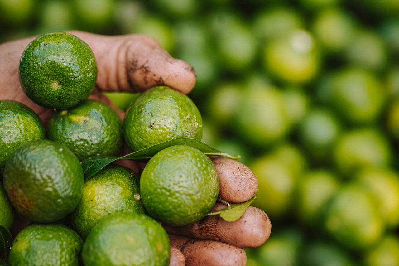 lime