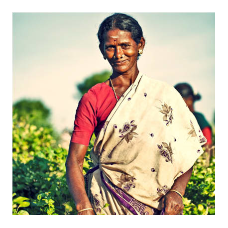 India​
