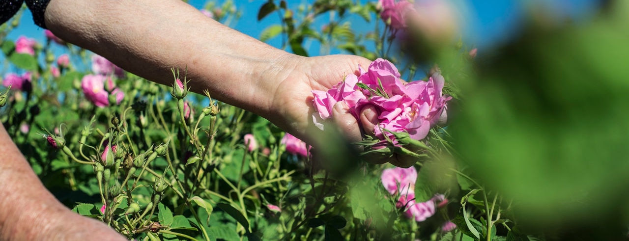 Waar consumentgeïnspireerde innovatie samenkomt met baanbrekende wetenschap