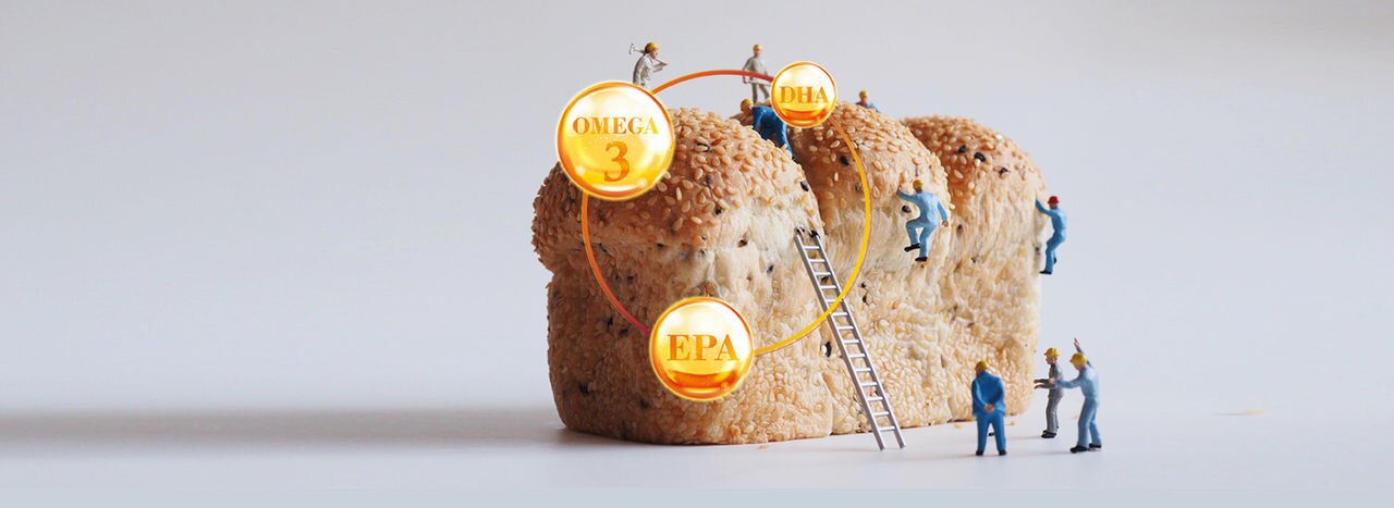 banner-meg-3.jpg