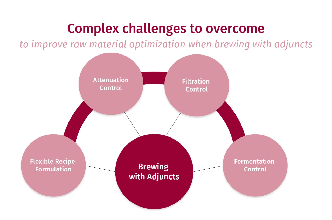 Maxadjunct Adjunct Challenges