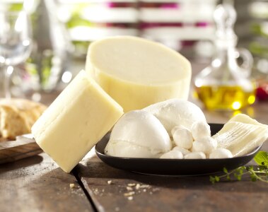 tile-markets-dairy-mozzarella.jpg