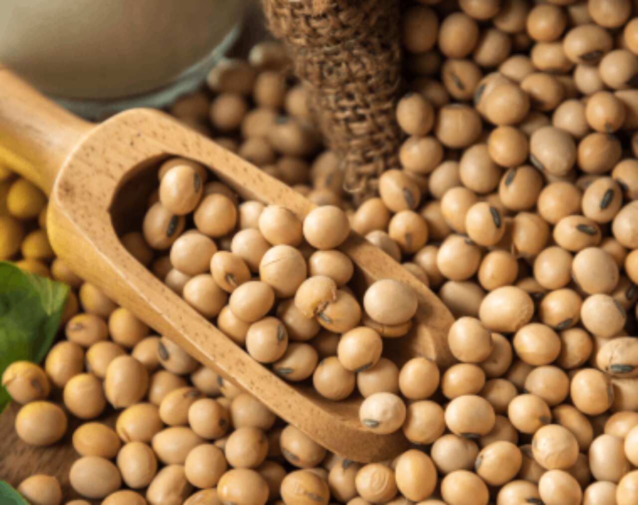 tile-ingredient-processing-soybean.png