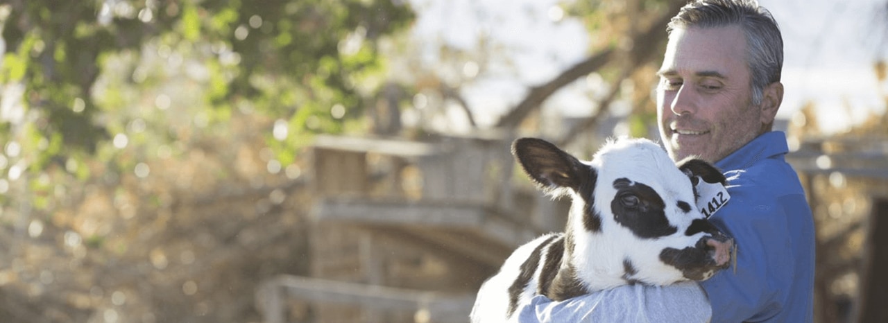 content-image-insights-making-milk-more-sustainable-1.png