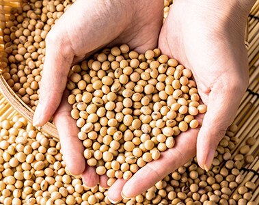 Insights Getting more using less - Bring new technology into a plant