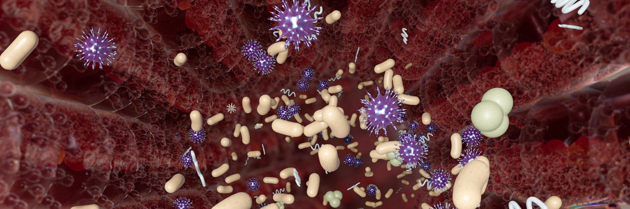 Imagem de cabeçalho da inflamação crônica