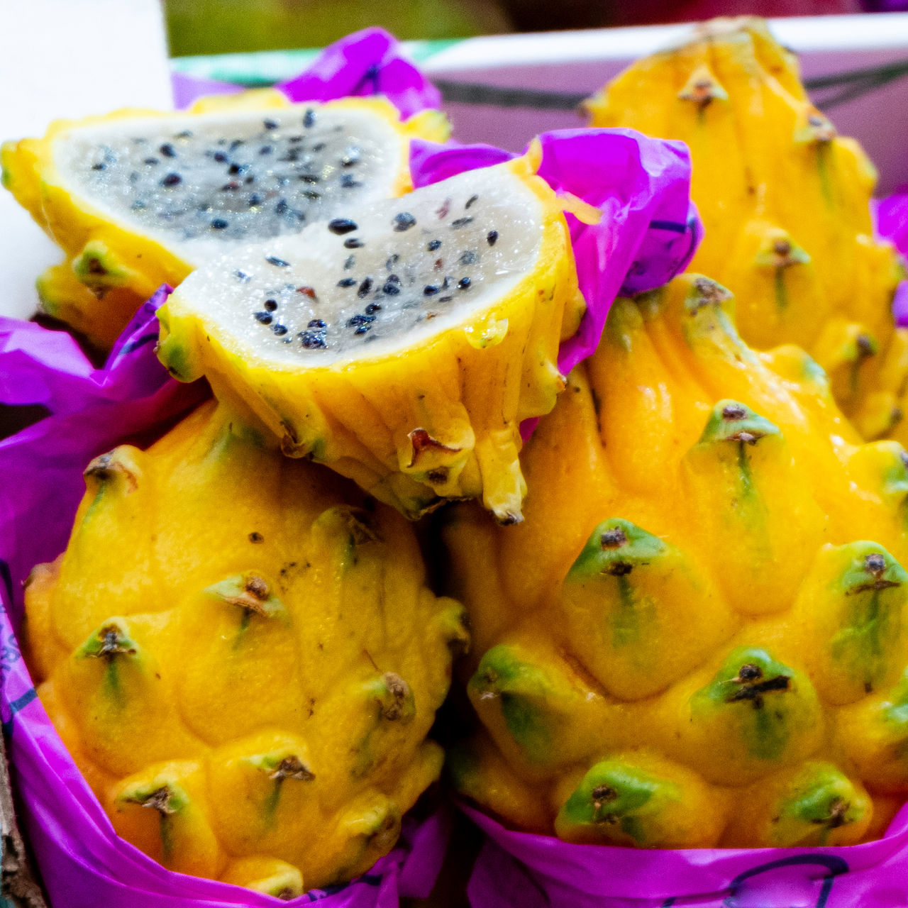 Bold & Exotic Dragon Fruit