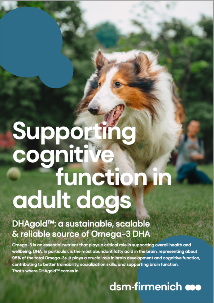 Cachorro acariciando o pescoço de uma mulher