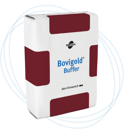 Bovigold Buffer - Suplemento nutricional tamponante para vacas em lactação