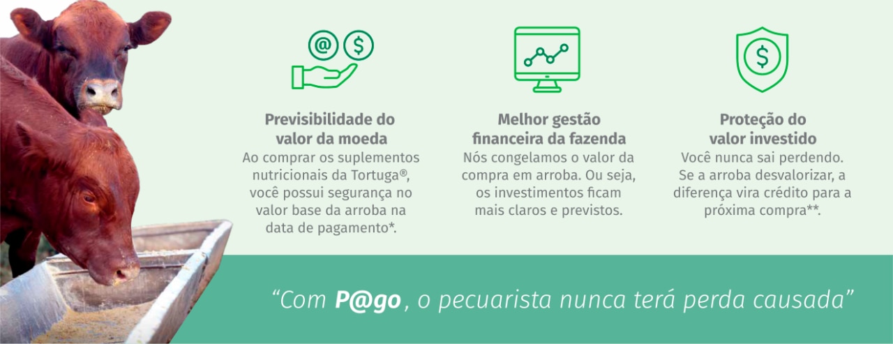 ideal para