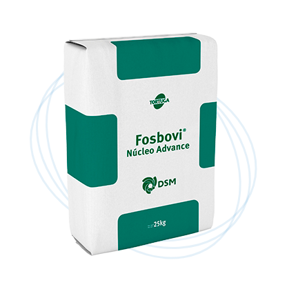 Fosbovi Núcleo Advance