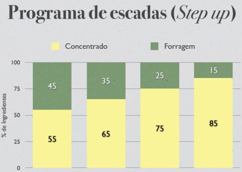 Programa de escadas