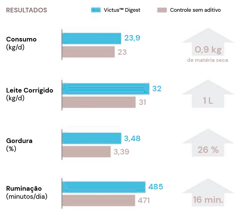 Gráfico